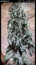 Load image into Gallery viewer, Organic Catnip Mice