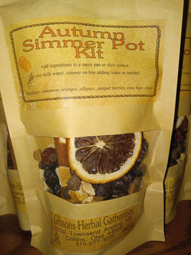 Autumn Simmer Potpourri Kit